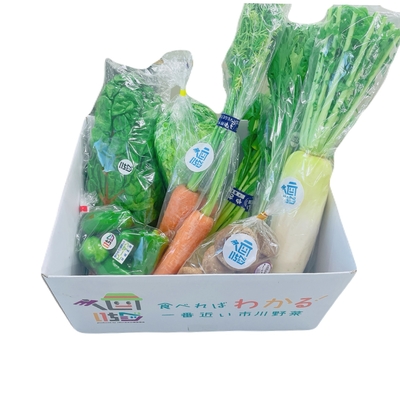 市川産野菜「いちベジ」BOXセット 中 8品～ | 市川市農業協同組合