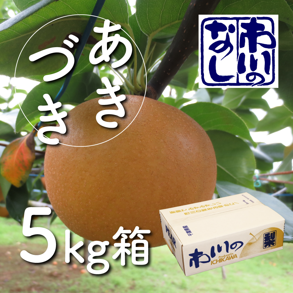 薪用の梨の玉切り 3トン 5月連休までに引取り限定(福島市) 薪用の梨の玉切り 3トン 5月連休までに引取り