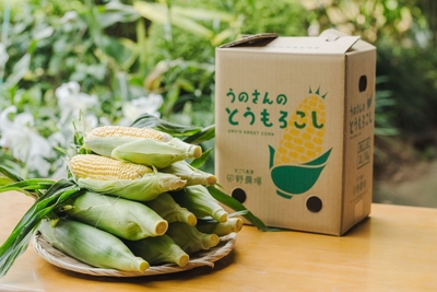 卯野さんのとうもろこし　１０本入り　2箱