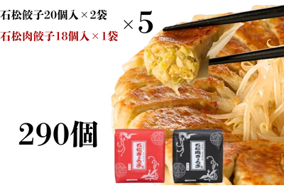 石松餃子食べ比べセット　(石松餃子２０個入&times;２　肉餃子１８個入&times;１)　&times;５セット　
