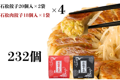 石松餃子食べ比べセット　(石松餃子２０個入&times;２　肉餃子１８個入&times;１)　&times;４セット　