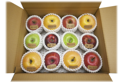 信州　お山のりんご学級　冬組