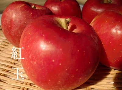 紅玉3ｋｇ(長野県産)