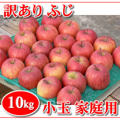 秋田産 ふじりんご 家庭用 小玉　10キロ