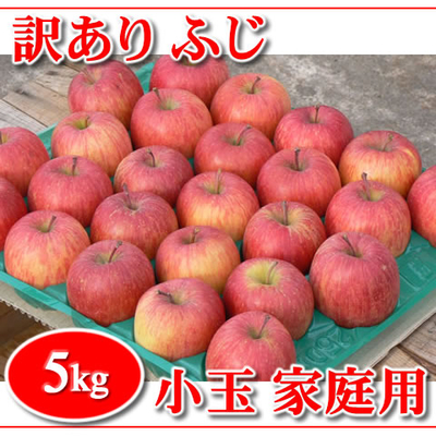 秋田産 ふじりんご 家庭用　小玉　5キロ