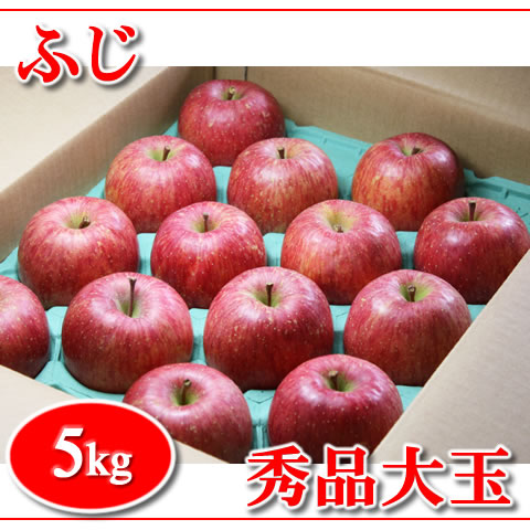 秋田産 ふじりんご 秀品 大玉 5キロ 01-05 【予約販売】 | りんごの高角園