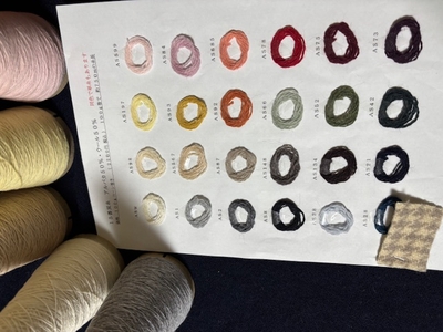 アルパカ５０％ウール５０％１５番双糸sample