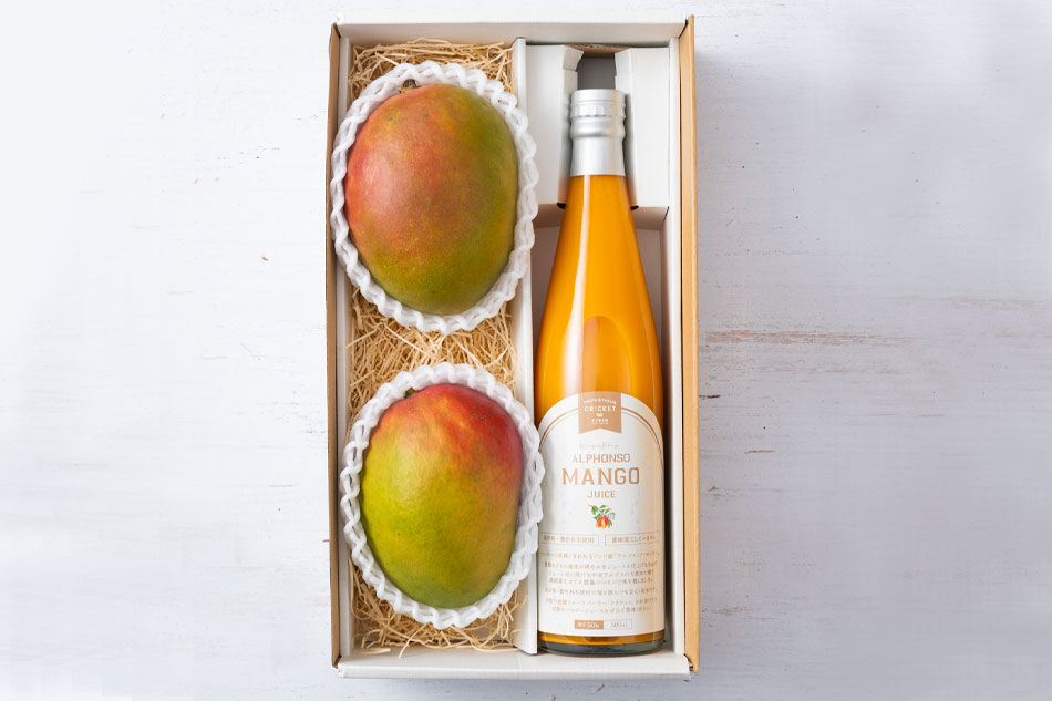 贅沢なマンゴージュースとマンゴーのセット | criket