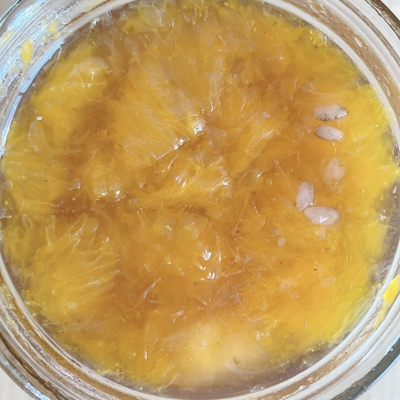 フルーツ酵素シロップ（みかん、柚子、アセロラ、パイナップル）