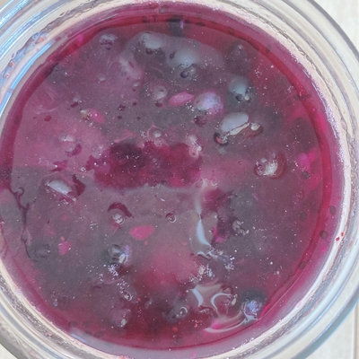 フルーツ酵素シロップ（キウイ、ワイルドブルーベリー、ブルーベリー、パイナップル）