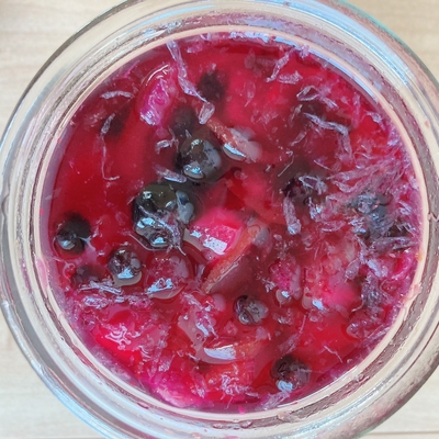 フルーツ酵素シロップ（ワイルドブルーベリー、金柑、柚子、ブルーベリー、ネーブルオレンジ、レモン、パイナップル）