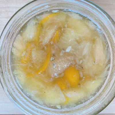 フルーツ酵素シロップ（かりん、紅まどか、りんご、金柑、レモン）