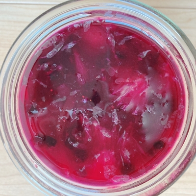 フルーツ酵素シロップ（アセロラ、ワイルドブルーベリー、金柑、柚子、レモン）