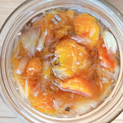 フルーツ酵素シロップ（ブラッドオレンジ、サワーポメロ、紅まどか、パイナップル）