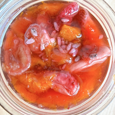 フルーツ酵素シロップ（いちご、せとか、パイナップル、バナナ）