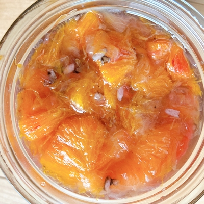 フルーツ酵素シロップ（ブラッドオレンジ、日向夏、グレープフルーツ、レモン）