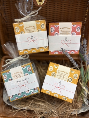 晴レの日（2g&times;4包）のし付き