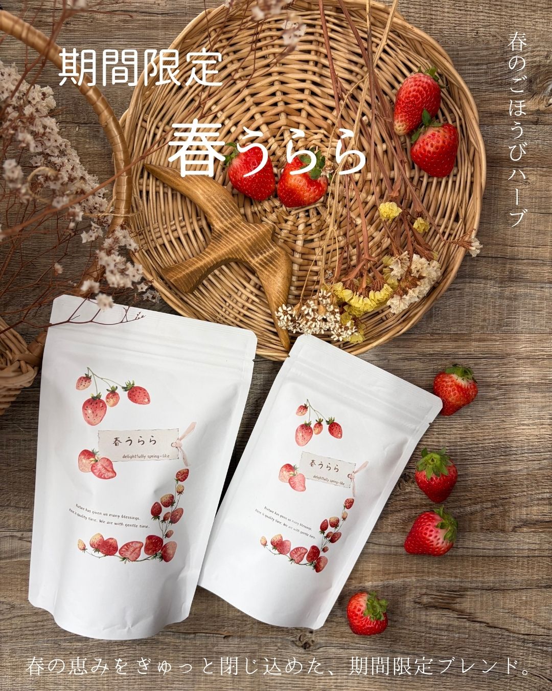 完売❤️春うらら♡華阿蘇美ボリューム満点なリース 春限定ハーブ「春うらら」 | chamstea36