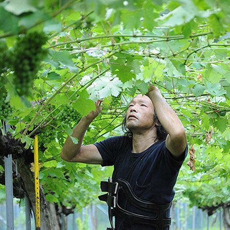 丹波ワイン 京都亀岡産 プチ・マンサン 2022 720ml | 京都 北白川