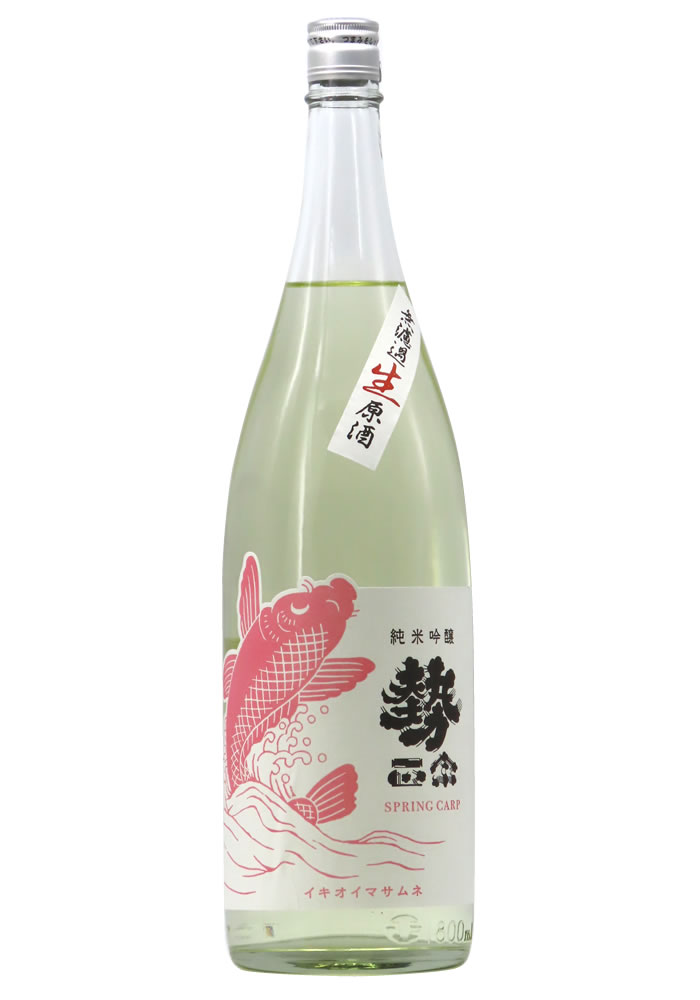 勢正宗 スプリングカープ 純米吟醸 無濾過生原酒 (R6BY) 720ml
