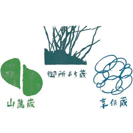 S風の森 2024 杉浦/南地区02. 