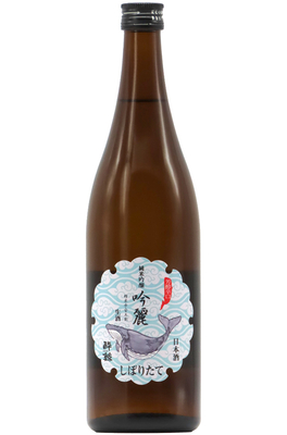 酔鯨 純米吟醸 吟麗 しぼりたて 生酒 (R7BY) 1,800ml