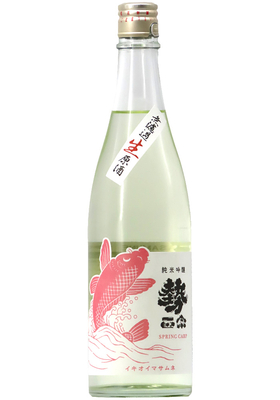 勢正宗 スプリングカープ 純米吟醸 無濾過生原酒 (R7BY) 720ml