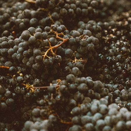 シャトー・レ・カルム・オー・ブリオン