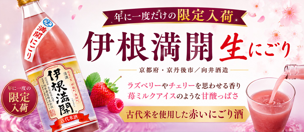 伊根満開