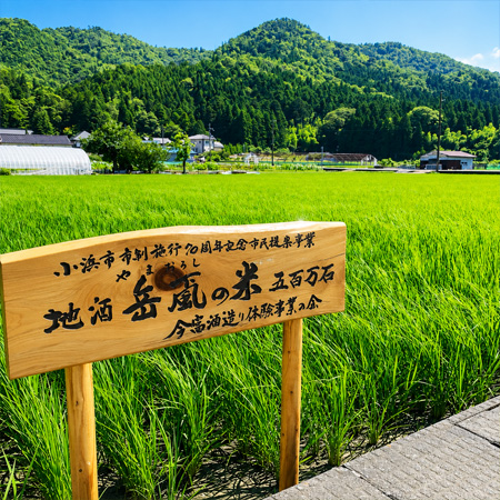 小浜酒造