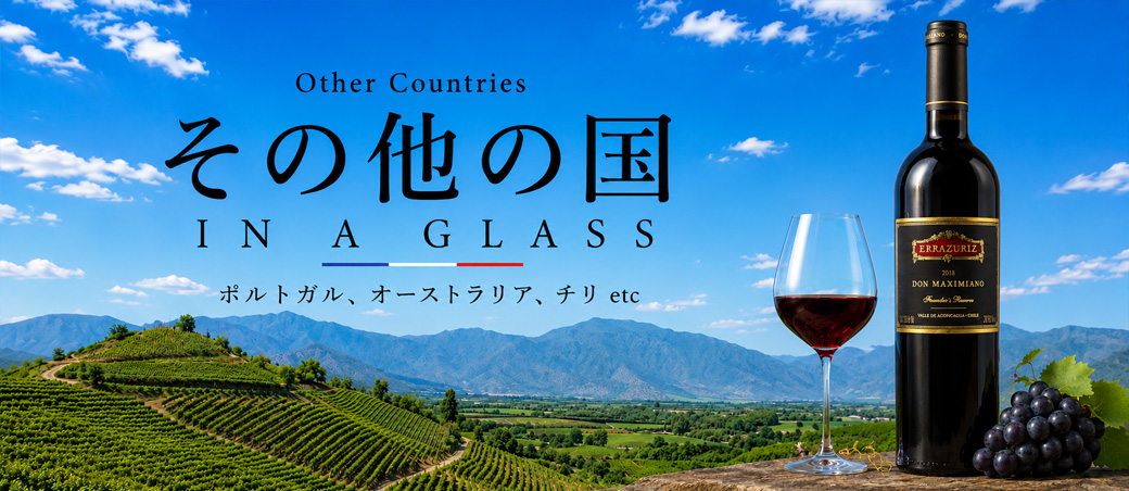 その他の国