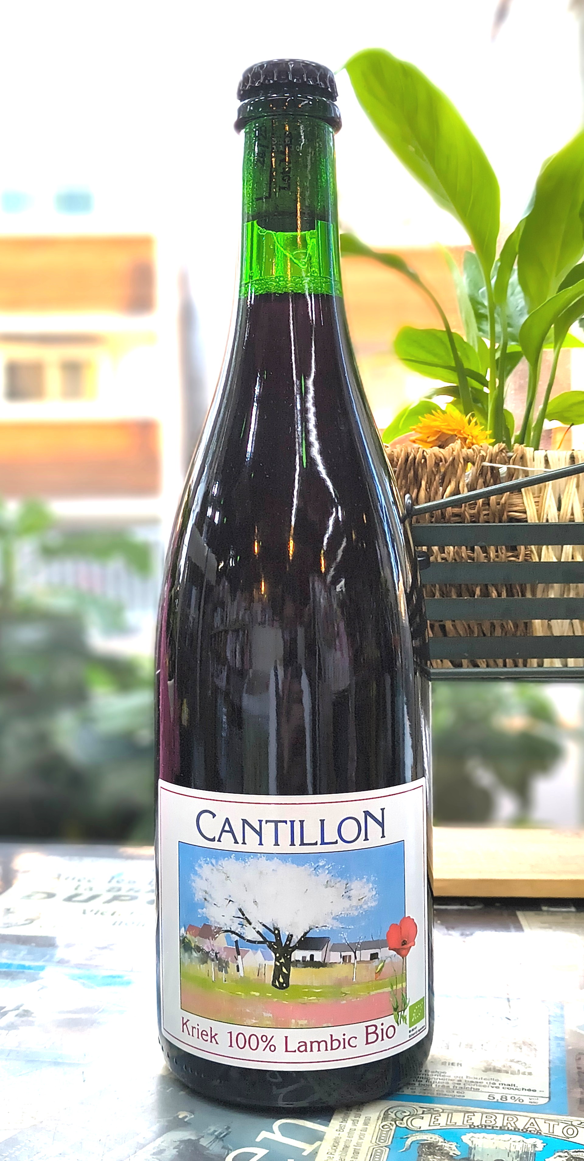 カンティヨン2013年　ランビックビオグランクリュCantillon 2013 Cantillon_Gueuze_sq.jpg?v=