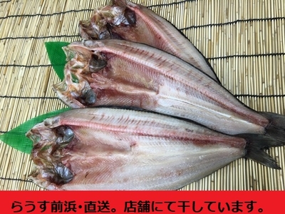 開き真ほっけ（400g前後・1枚）羅臼産｜丸大ささき｜ふっくら仕上げです。