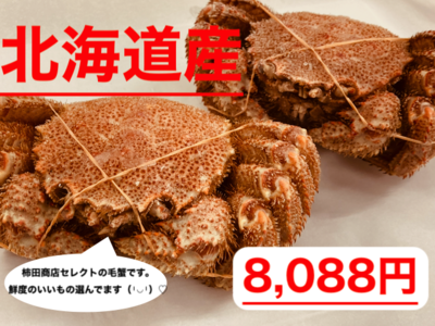 北海道産毛ガニ　毛蟹　かに　カニ　簡易真空パック　柿田商店