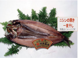 ニシンの一夜干し（簡易真空）一枚