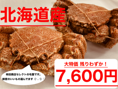 【5%引き】北海道産毛ガニ　毛蟹　かに　カニ　簡易真空パック　柿田商店