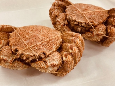 北海道産毛ガニ　毛蟹　かに　カニ　簡易真空パック　柿田商店