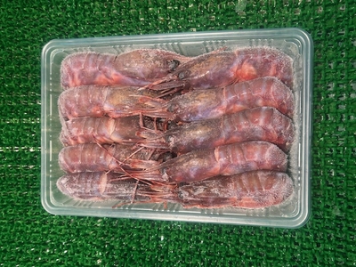 羅臼産　ぶどうえび大500g(8～10尾)｜まるいち佐藤商店