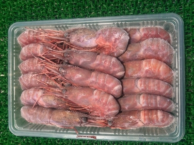 羅臼産　ぶどうえび中500g(11～16尾)｜まるいち佐藤商店