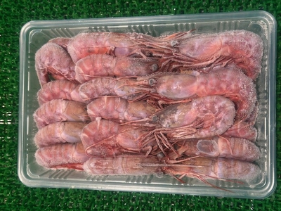 羅臼産　ぶどうえび小500g(17～25尾)｜まるいち佐藤商店