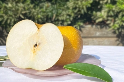 梨✨ 2025-え【ご贈答用】新高梨 6〜7玉入(600~700g x6~7玉)【送料込み