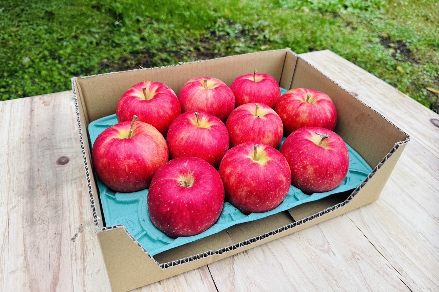 完売】青森県弘前市産の極上りんご「ジョナゴールド」「ふじ」「サン
