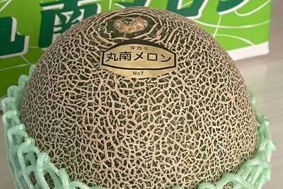 【千葉県産】丸南メロン 数量限定!