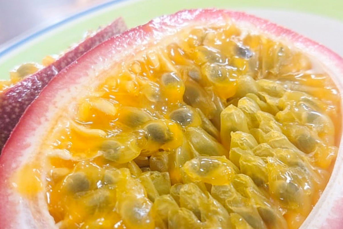 完売】完熟パッションフルーツ | エコチョク