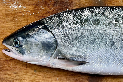 めじか新巻鮭（姿）｜約5.0kg×1｜オホーツク産｜オホーツク活魚