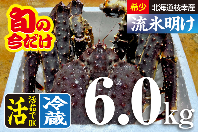 浜ゆで毛蟹6尾入れ　冷凍 浜ゆで毛蟹6尾入れ 冷凍 食品