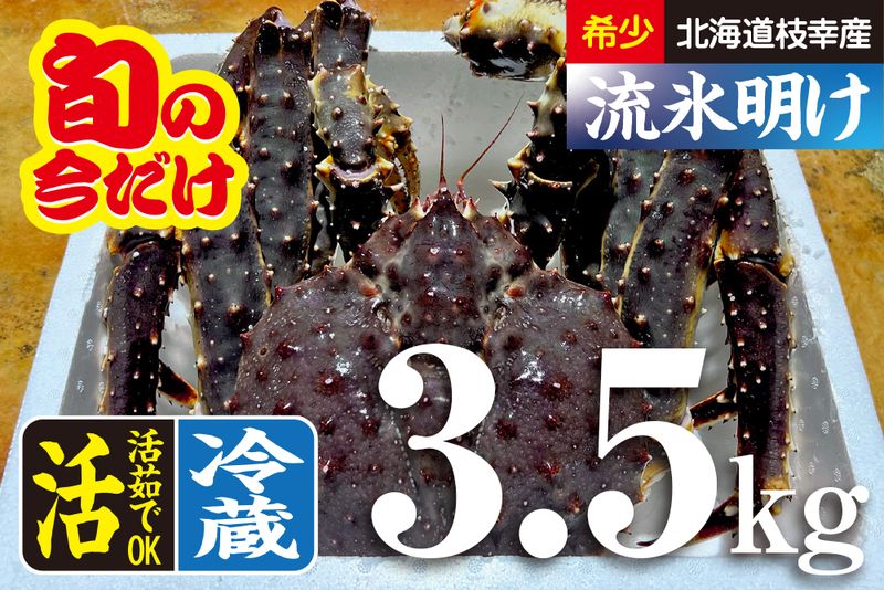 【goodtaniku】甲蟹 白雪月牙　活着鉢ごと発送 goodtaniku】甲蟹 白雪月牙 活着鉢ごと発送 goodtaniku】甲蟹 白雪月牙