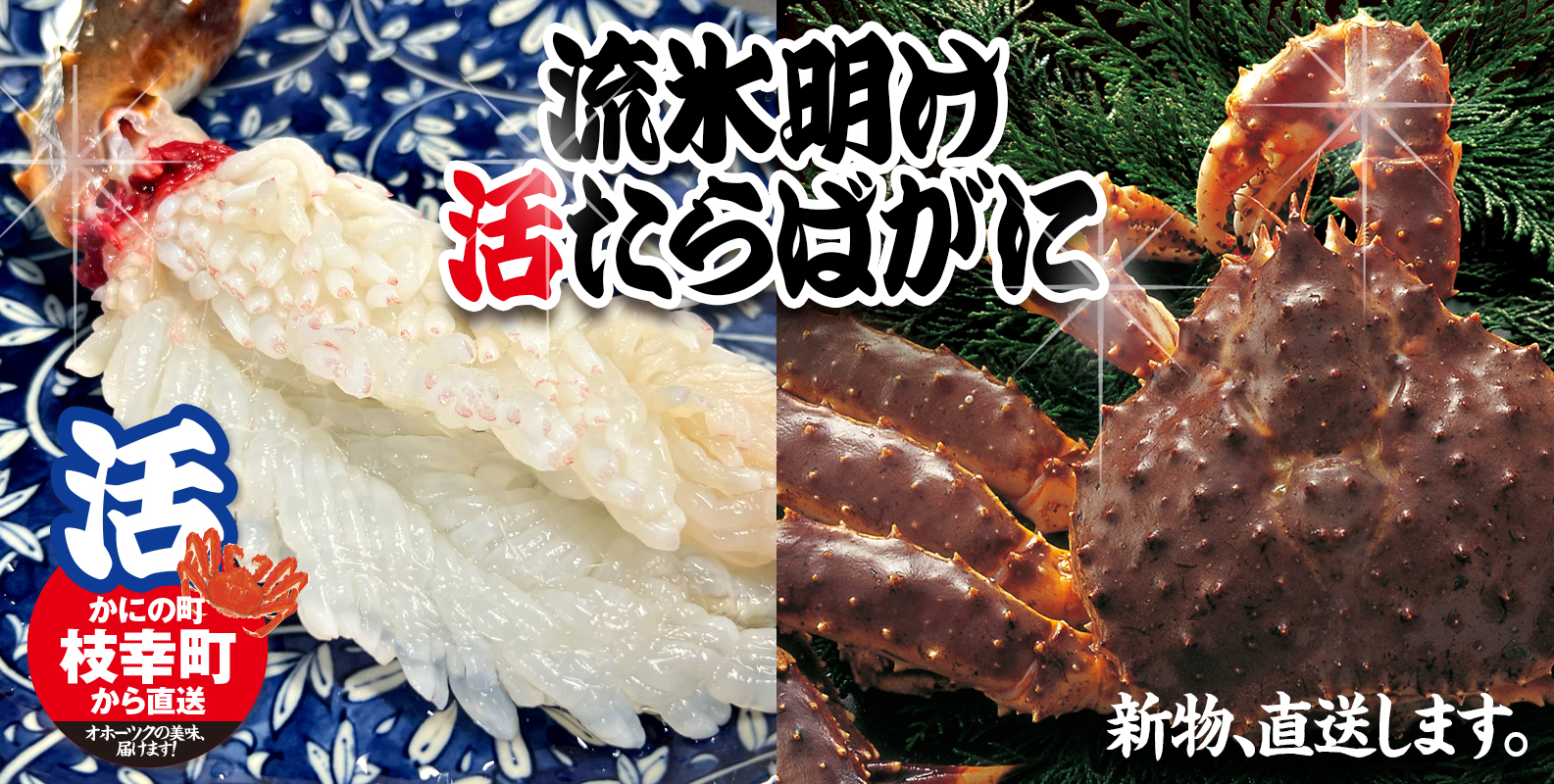 活時2.3k北海道(特選堅)活〆訳あり折れ品ボイルチルド毛ガニ332尾入り