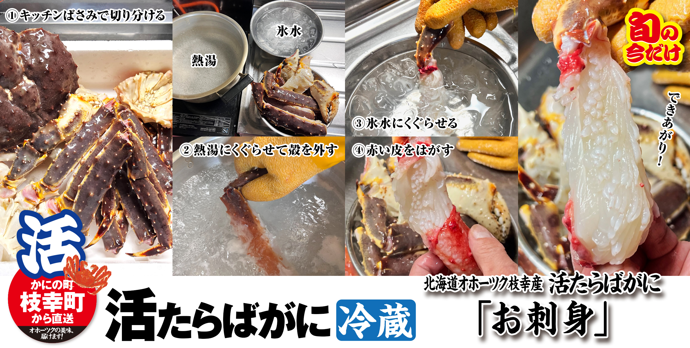 希少｜数量限定｜北海道枝幸産｜流氷明け｜活たらばがに（冷蔵）｜5.5