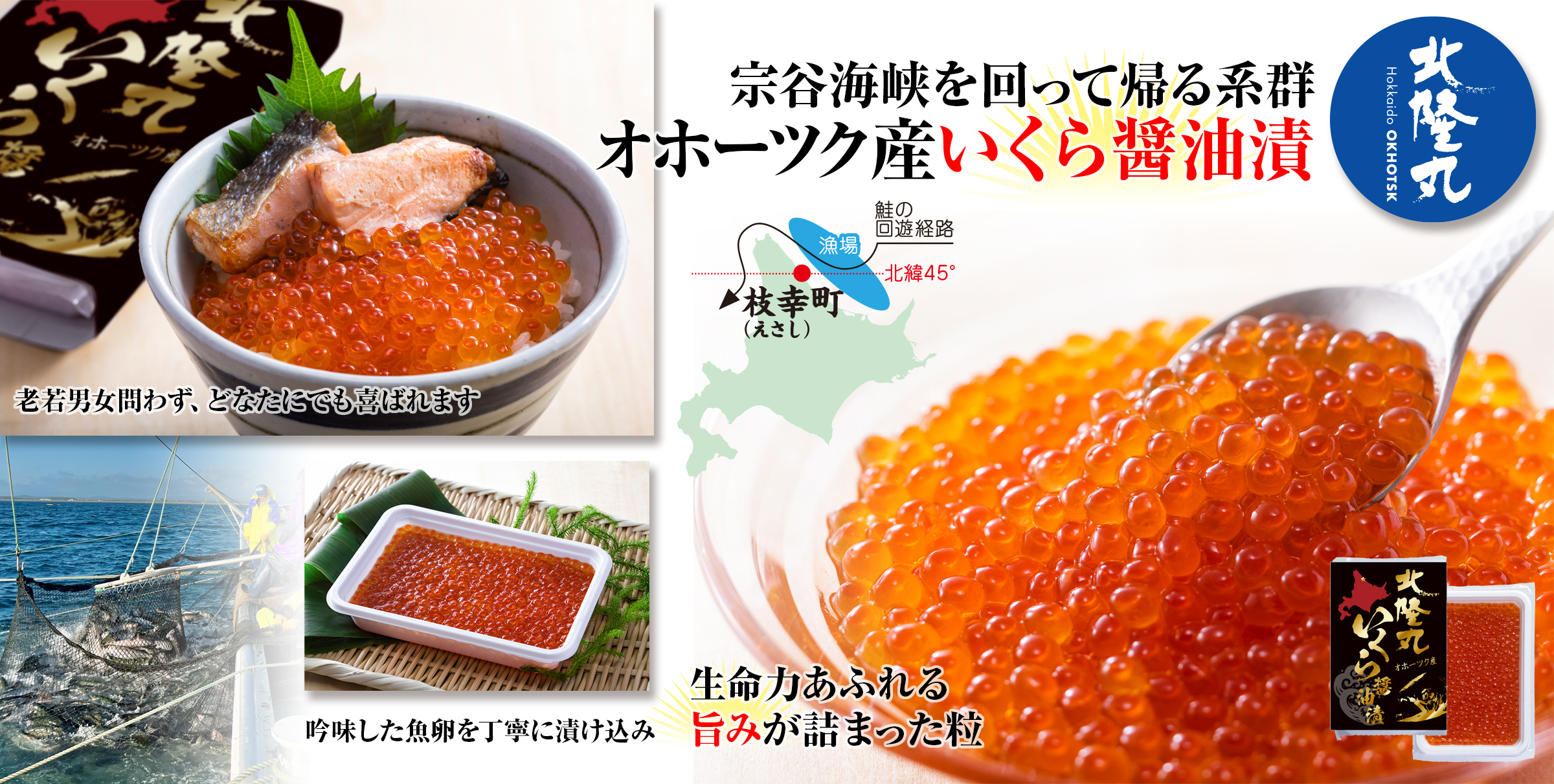 いくら醤油漬｜200g×1｜オホーツク産｜オホーツク活魚 | オホーツク